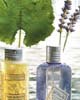 L'Occitane Bath & Shower, Almond Shower Oil, Foaming Bath, Cherry Blossom Bath & Shower Gel, Lavender Shea Butter Extra Gentle Soap, Liqu