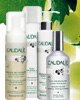 Caudalie Cleanse & Tone, Beauty Elixir, Caudalie Cleanse, Caudalie Fleur de Vigne, Caudalie Grape Water
