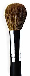 Bare Escentuals Tapered Blush Brush