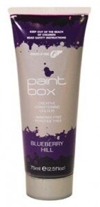 Fudge Paintbox Extreme Colours Blueberry Hill 75ml