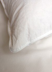 The Club Collection Goose & Duck Down Feather Pillow
